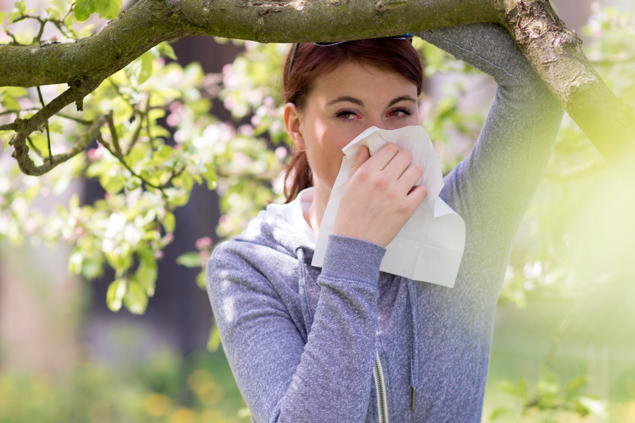 <p>Woman with red eyes and a tissue at her nose leans on the branch of a flowering tree.</p>